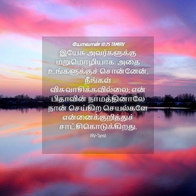 Picture 04 - யோவான் 10:25 TAMIRV - இயேசு அவர்களுக்கு - Bible Verse Picture