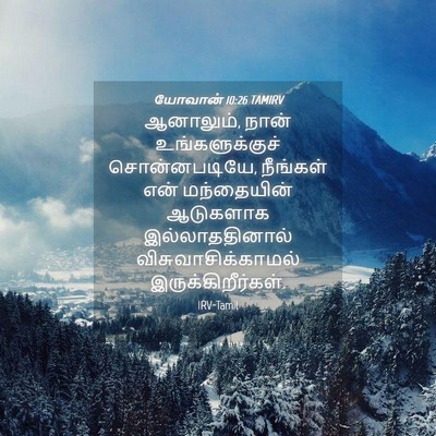 Picture 04 - யோவான் 10:26 TAMIRV - ஆனாலும், நான் - Bible Verse Picture