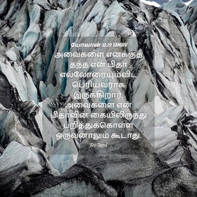 Picture 04 - யோவான் 10:29 TAMIRV - அவைகளை எனக்குத் - Bible Verse Picture