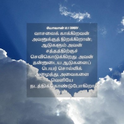 Picture 04 - யோவான் 10:3 TAMIRV - வாசலைக் - Bible Verse Picture