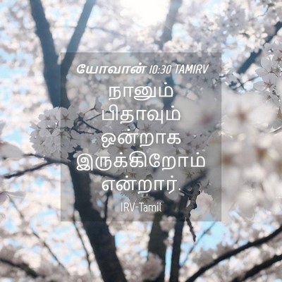 Picture 04 - யோவான் 10:30 TAMIRV - நானும் பிதாவும் - Bible Verse Picture