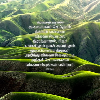 Picture 04 - யோவான் 10:38 TAMIRV - அவைகளை செய்தால், - Bible Verse Picture