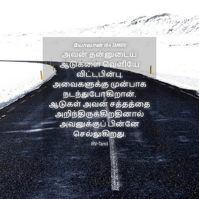 Picture 04 - யோவான் 10:4 TAMIRV - அவன் தன்னுடைய - Bible Verse Picture