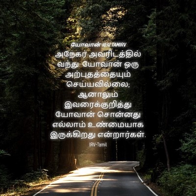 Picture 04 - யோவான் 10:41 TAMIRV - அநேகர் - Bible Verse Picture