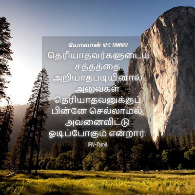 Picture 04 - யோவான் 10:5 TAMIRV - தெரியாதவர்களுடைய - Bible Verse Picture