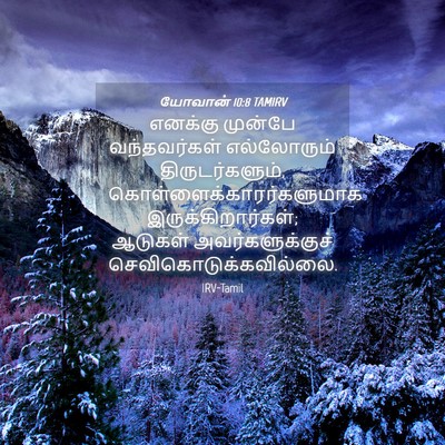Picture 04 - யோவான் 10:8 TAMIRV - எனக்கு முன்பே - Bible Verse Picture