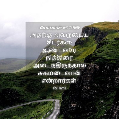 Picture 04 - யோவான் 11:12 TAMIRV - அதற்கு அவருடைய - Bible Verse Picture