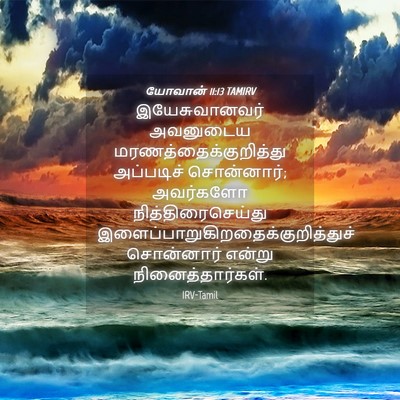 Picture 04 - யோவான் 11:13 TAMIRV - இயேசுவானவர் - Bible Verse Picture