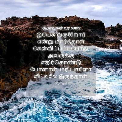 Picture 04 - யோவான் 11:20 TAMIRV - இயேசு வருகிறார் - Bible Verse Picture