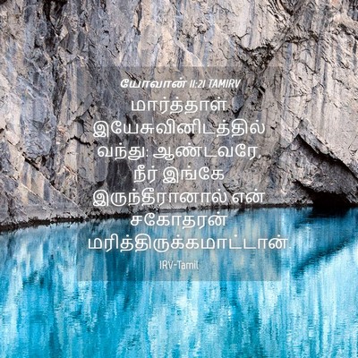 Picture 04 - யோவான் 11:21 TAMIRV - மார்த்தாள் - Bible Verse Picture