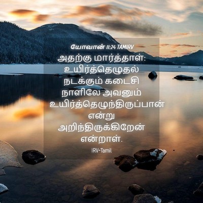 Picture 04 - யோவான் 11:24 TAMIRV - அதற்கு - Bible Verse Picture