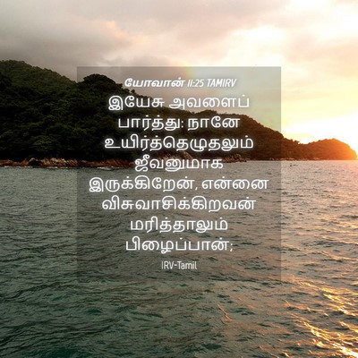 Picture 04 - யோவான் 11:25 TAMIRV - இயேசு அவளைப் - Bible Verse Picture