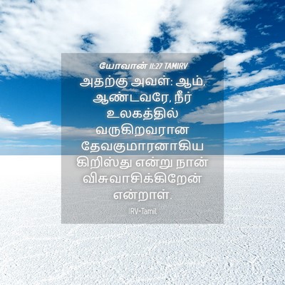 Picture 04 - யோவான் 11:27 TAMIRV - அதற்கு அவள்: ஆம், - Bible Verse Picture