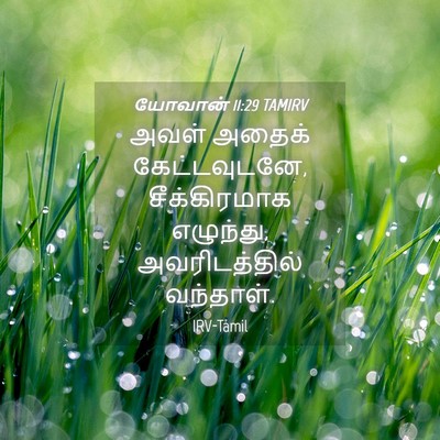 Picture 04 - யோவான் 11:29 TAMIRV - அவள் அதைக் - Bible Verse Picture