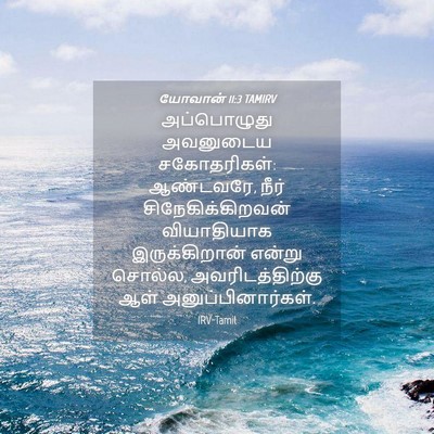 Picture 04 - யோவான் 11:3 TAMIRV - அப்பொழுது அவனுடைய - Bible Verse Picture