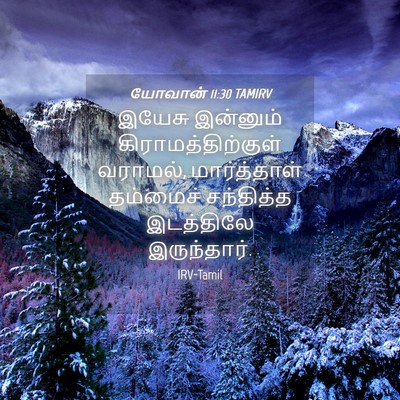 Picture 04 - யோவான் 11:30 TAMIRV - இயேசு இன்னும் - Bible Verse Picture