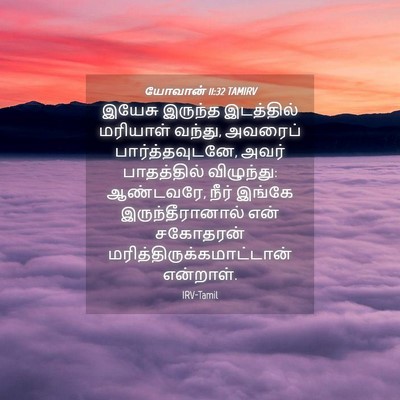 Picture 04 - யோவான் 11:32 TAMIRV - இயேசு இருந்த - Bible Verse Picture
