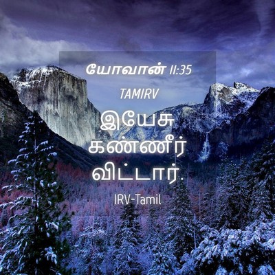 Picture 04 - யோவான் 11:35 TAMIRV - இயேசு கண்ணீர் - Bible Verse Picture