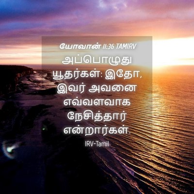 Picture 04 - யோவான் 11:36 TAMIRV - அப்பொழுது - Bible Verse Picture
