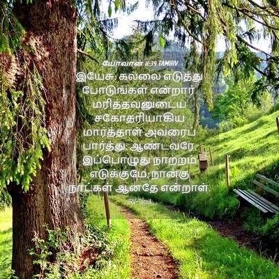 Picture 04 - யோவான் 11:39 TAMIRV - இயேசு: கல்லை - Bible Verse Picture