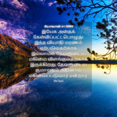 Picture 04 - யோவான் 11:4 TAMIRV - இயேசு அதைக் - Bible Verse Picture