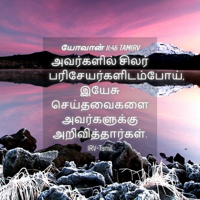Picture 04 - யோவான் 11:46 TAMIRV - அவர்களில் சிலர் - Bible Verse Picture