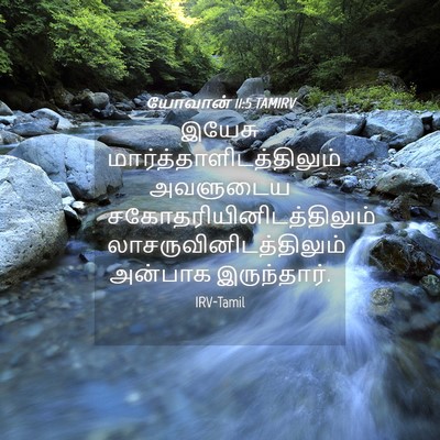 Picture 04 - யோவான் 11:5 TAMIRV - இயேசு - Bible Verse Picture
