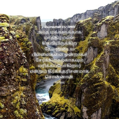 Picture 04 - யோவான் 11:52 TAMIRV - அந்த மக்களுக்காக - Bible Verse Picture
