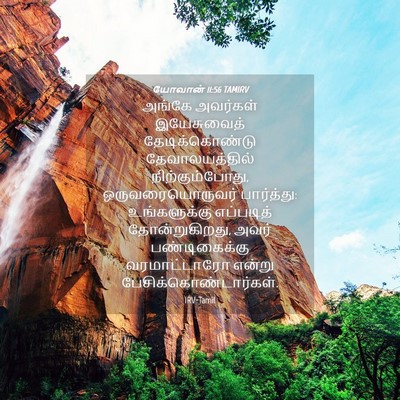 Picture 04 - யோவான் 11:56 TAMIRV - அங்கே அவர்கள் - Bible Verse Picture