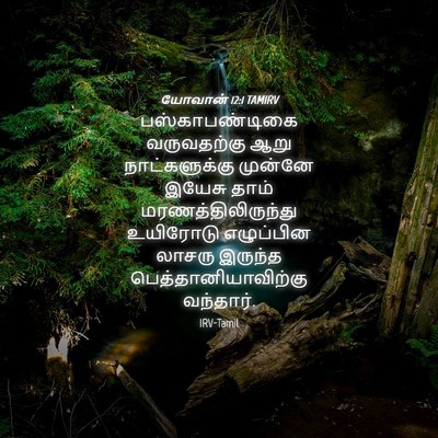 Picture 04 - யோவான் 12:1 TAMIRV - பஸ்காபண்டிகை - Bible Verse Picture