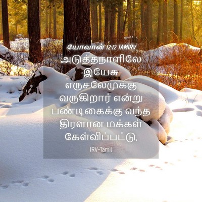 Picture 04 - யோவான் 12:12 TAMIRV - அடுத்தநாளிலே - Bible Verse Picture