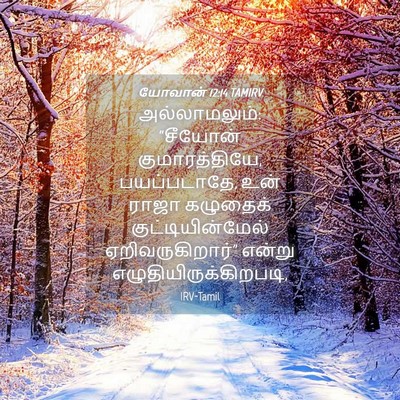 Picture 04 - யோவான் 12:14 TAMIRV - அல்லாமலும்: - Bible Verse Picture