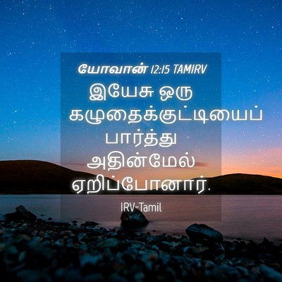 Picture 04 - யோவான் 12:15 TAMIRV - இயேசு ஒரு - Bible Verse Picture