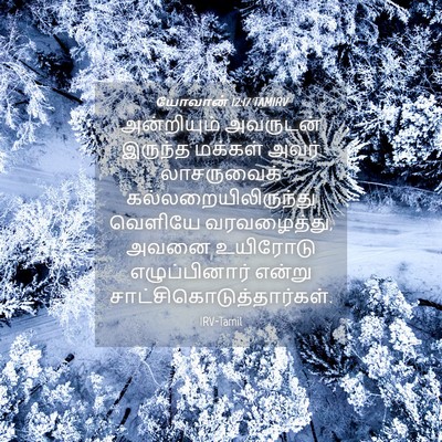 Picture 04 - யோவான் 12:17 TAMIRV - அன்றியும் அவருடன் - Bible Verse Picture