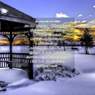 Picture 04 - யோவான் 12:19 TAMIRV - அப்பொழுது - Bible Verse Picture