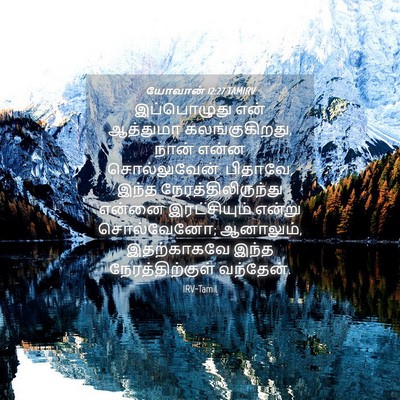 Picture 04 - யோவான் 12:27 TAMIRV - இப்பொழுது என் - Bible Verse Picture