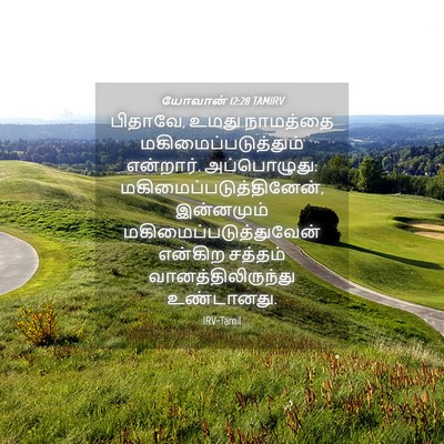 Picture 04 - யோவான் 12:28 TAMIRV - பிதாவே, உமது - Bible Verse Picture