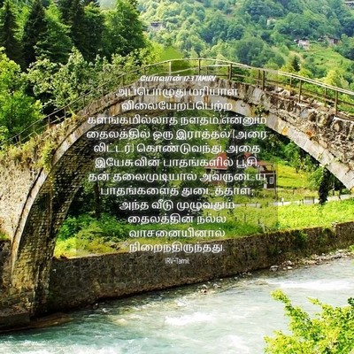 Picture 04 - யோவான் 12:3 TAMIRV - அப்பொழுது மரியாள் - Bible Verse Picture