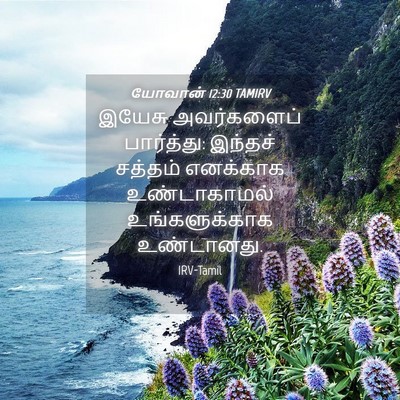 Picture 04 - யோவான் 12:30 TAMIRV - இயேசு அவர்களைப் - Bible Verse Picture