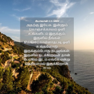 Picture 04 - யோவான் 12:35 TAMIRV - அதற்கு இயேசு: - Bible Verse Picture
