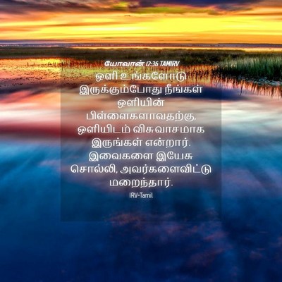 Picture 04 - யோவான் 12:36 TAMIRV - ஒளி உங்களோடு - Bible Verse Picture