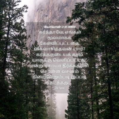 Picture 04 - யோவான் 12:38 TAMIRV - “கர்த்தாவே, - Bible Verse Picture
