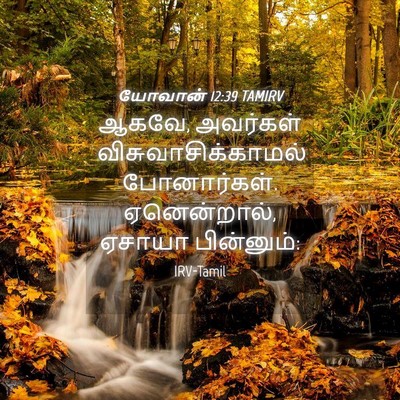 Picture 04 - யோவான் 12:39 TAMIRV - ஆகவே, அவர்கள் - Bible Verse Picture