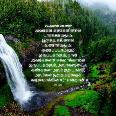 Picture 04 - யோவான் 12:40 TAMIRV - அவர்கள் - Bible Verse Picture