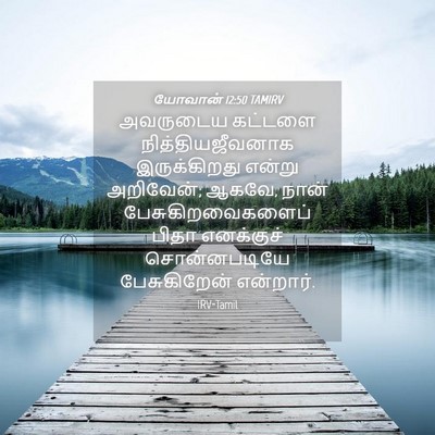 Picture 04 - யோவான் 12:50 TAMIRV - அவருடைய கட்டளை - Bible Verse Picture