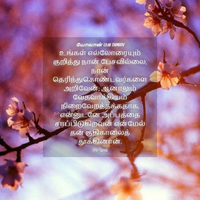 Picture 04 - யோவான் 13:18 TAMIRV - உங்கள் - Bible Verse Picture