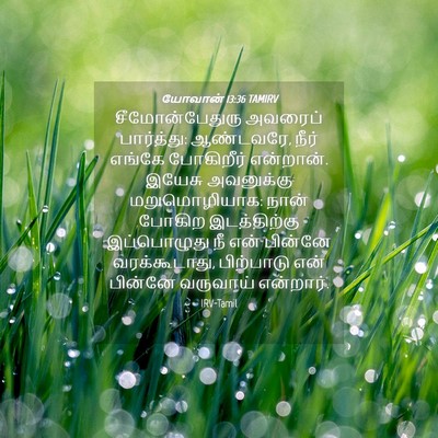 Picture 04 - யோவான் 13:36 TAMIRV - சீமோன்பேதுரு - Bible Verse Picture