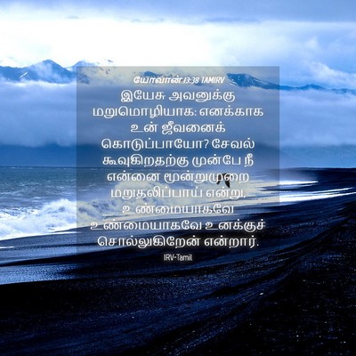 Picture 04 - யோவான் 13:38 TAMIRV - இயேசு அவனுக்கு - Bible Verse Picture