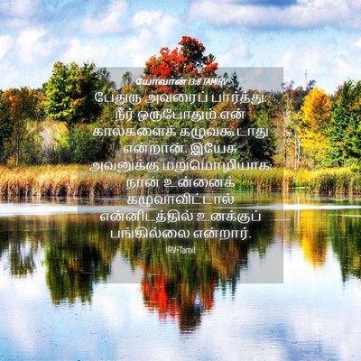 Picture 04 - யோவான் 13:8 TAMIRV - பேதுரு அவரைப் - Bible Verse Picture