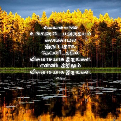 Picture 04 - யோவான் 14:1 TAMIRV - உங்களுடைய இருதயம் - Bible Verse Picture